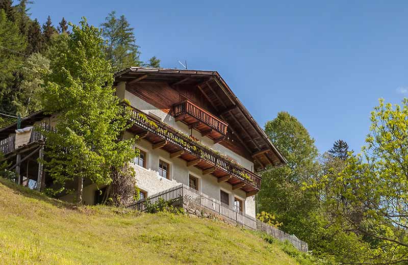 Wanderung zur Pojenalm im Ahrntal